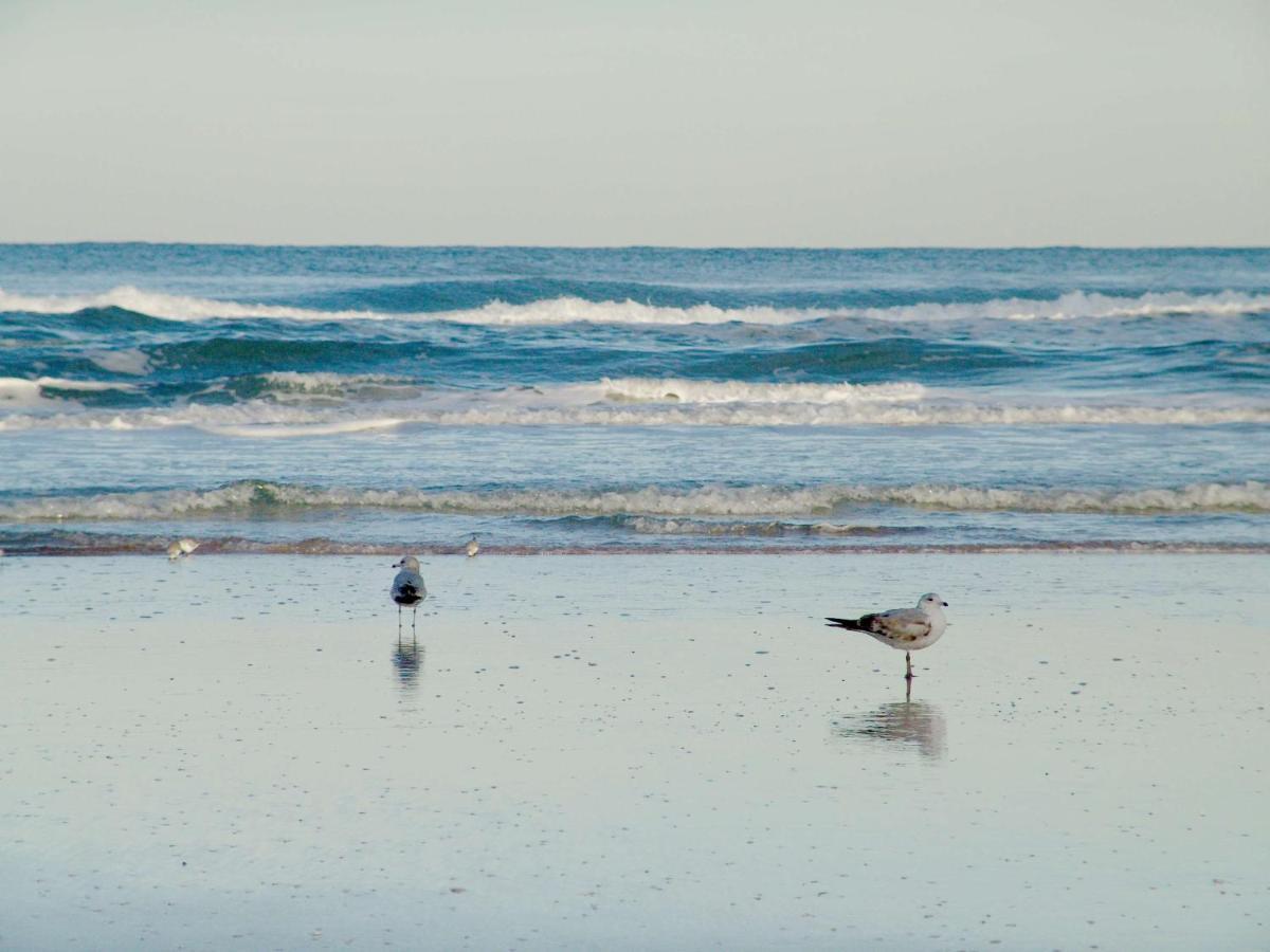 Daytona Beach Shores Hampton Inn Daytona Shores-Oceanfront מראה חיצוני תמונה